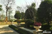 楚都御苑实景图7